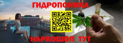 гидра Заволжье