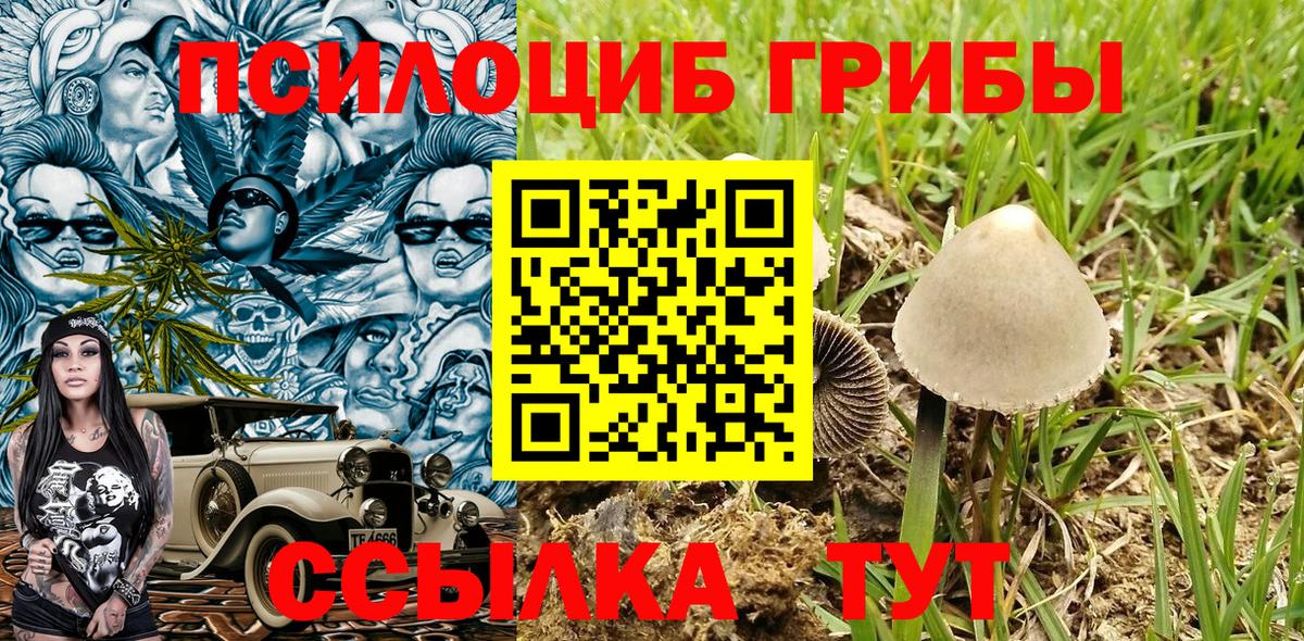Псилоцибиновые грибы мухоморы Лесозаводск
