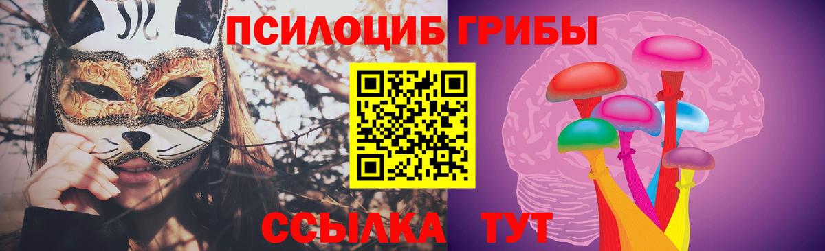 Лесозаводск  Псилоцибиновые грибы Magic Shrooms  Галлюциногенные грибы Psilocybine cubensis  Вход с VPN 